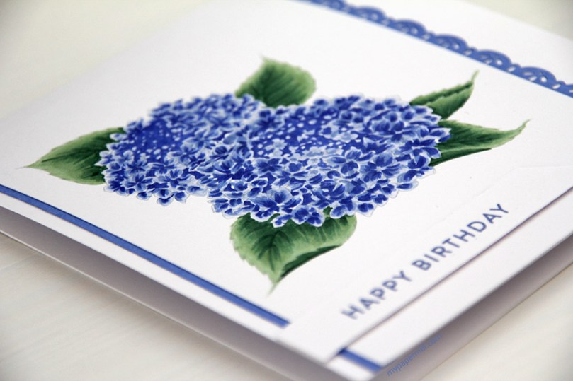 Aurora Wings Hydrangea blå flatt