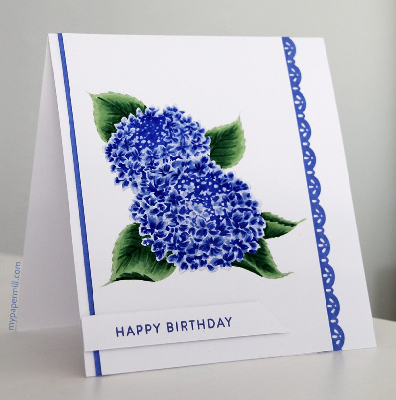 Aurora Wings Hydrangea blå