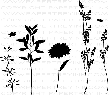 PTI Larger Than Life