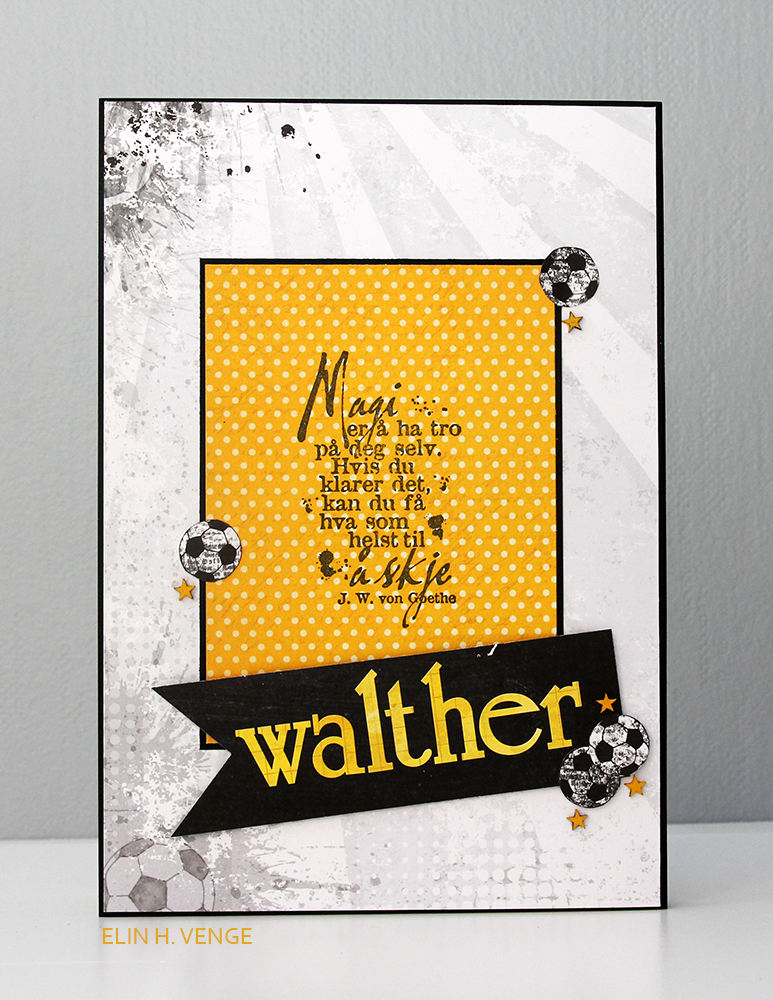 ET0416 Kortskissen bakside