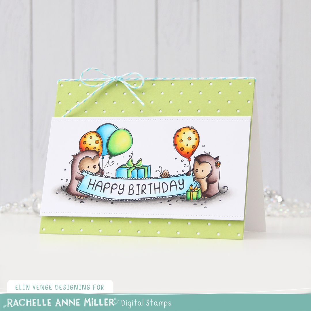 Rachelle Anne Miller Birthday Owls front skrått